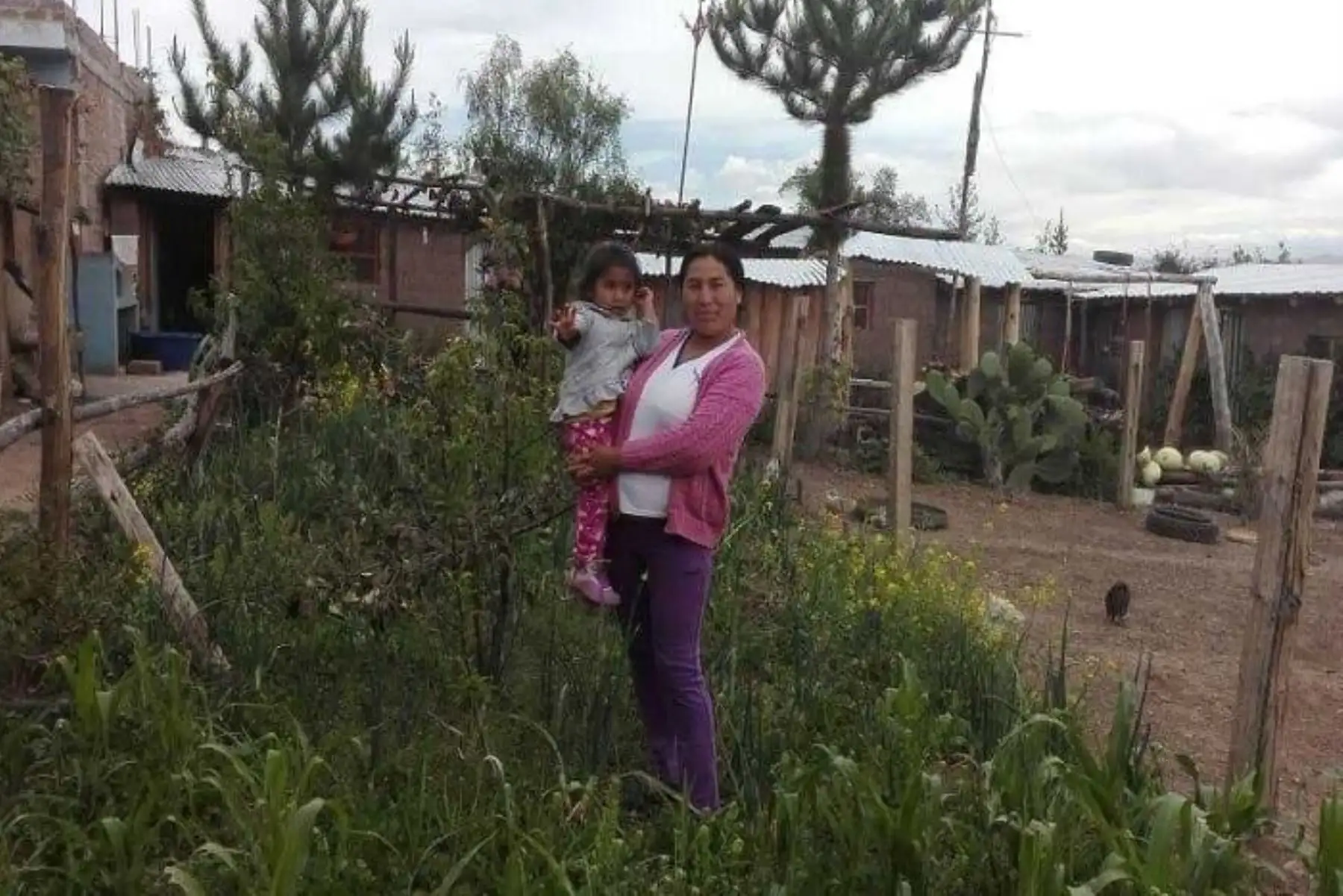 La anemia es una enfermedad silenciosa que tiene consecuencias irreversibles en los menores de tres años. A este grupo de riesgo pertenecía la pequeña Ruth Chuchuri, hoy de 2 años, quien, gracias al trabajo articulado, liderado por el Ministerio de Desarrollo e Inclusión Social (Midis) a través del Programa Nacional PAIS y otros sectores, logró vencer dicha afección.