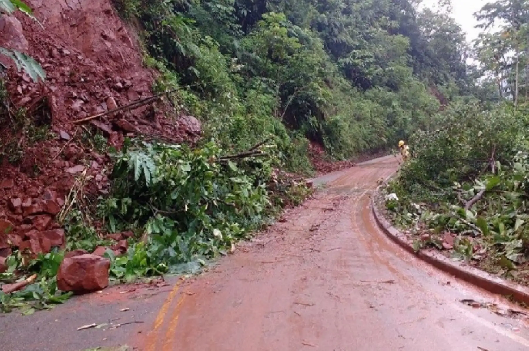 Lluvias provocan derrumbe en vía Tarapoto-Yurimaguas