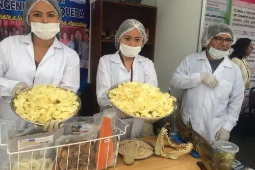 Hojuelas de pota, que pueden ser dulces o saladas, fueron desarrolladas por estudiantes de la Escuela Profesional de Ingeniería Pesquera de la UNSA.