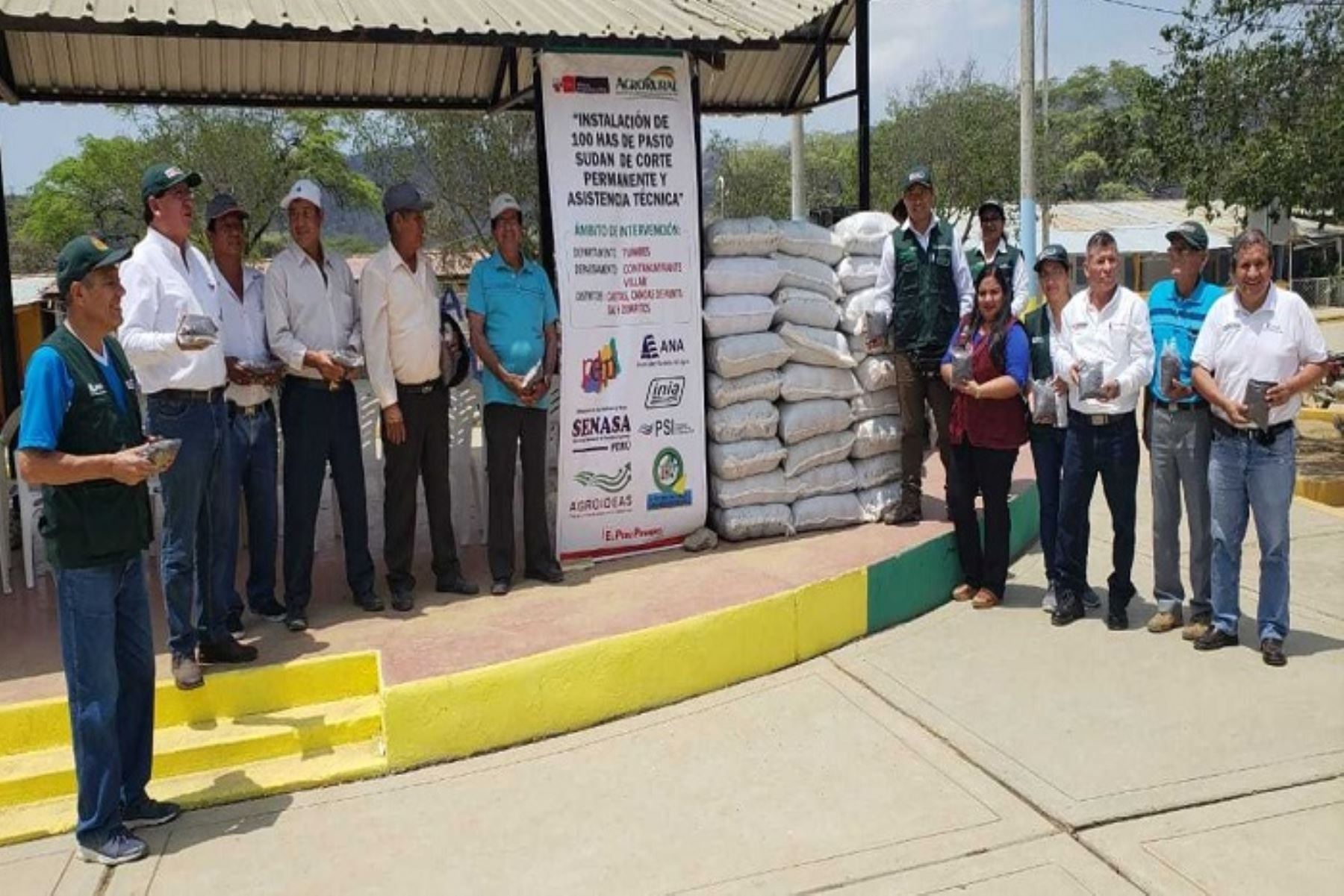 8,000 kilos de semillas de pasto Sudán fueron distribuidos entre los productores agrarios de los distritos de Casitas, Canoas de Punta Sal y Zorritos, en la provincia de Contralmirante Villar, región Tumbes, por representantes de Agro Rural del Ministerio de Agricultura y Riego (Minagri).