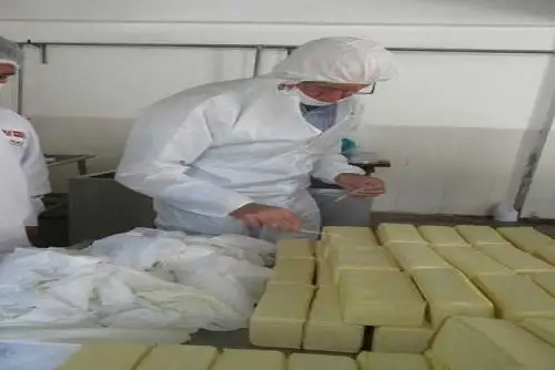 A fin de fortalecer capacidades y verificar las mejoras en el desarrollo e implementación de nuevos protocolos de aseguramiento de calidad para la elaboración de quesos, el Ministerio de Agricultura y Riego (Minagri), a través de Agro Rural, y experto de Nueva Zelanda, visitaron 8 plantas pilotos en las regiones de Cajamarca, Cusco y Puno.