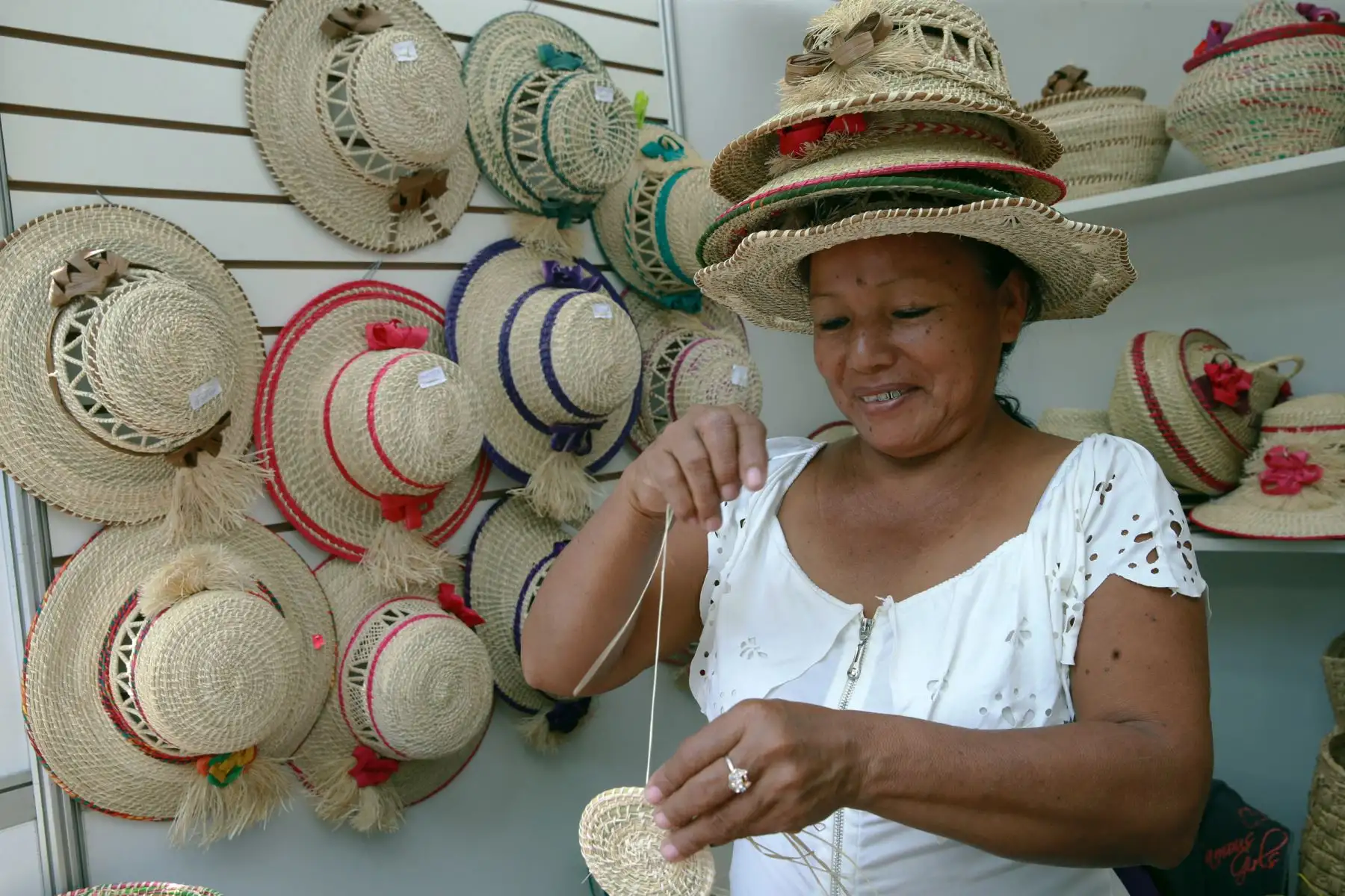 Foto: ANDINA/Norman Córdova.