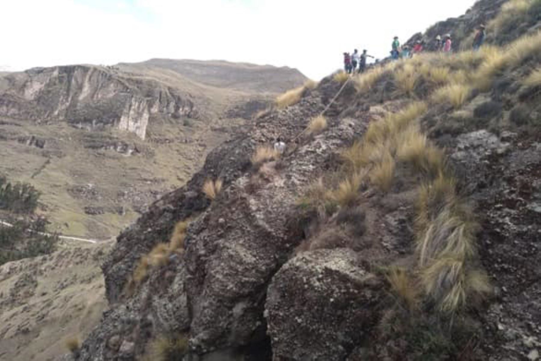 Hermanos menores mueren por ataque de abejas en Cusco.Foto:  ANDINA/Difusión.