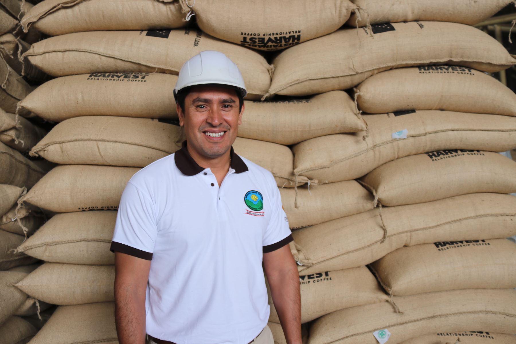 Café orgánico de Huánuco conquista mercados de EE.  UU. y Canadá.Foto:  ANDINA/Difusión