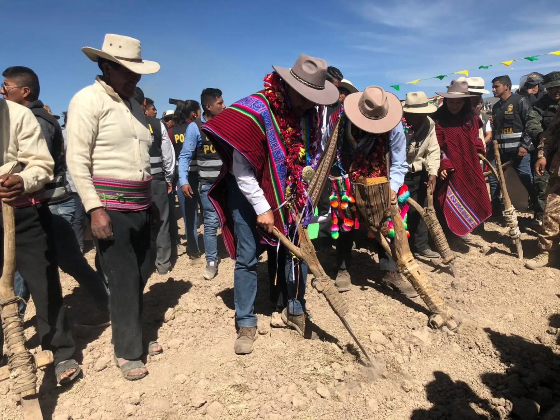 Gobierno instalará 300 mil hectáreas de pastos cultivados al 2021Minagri