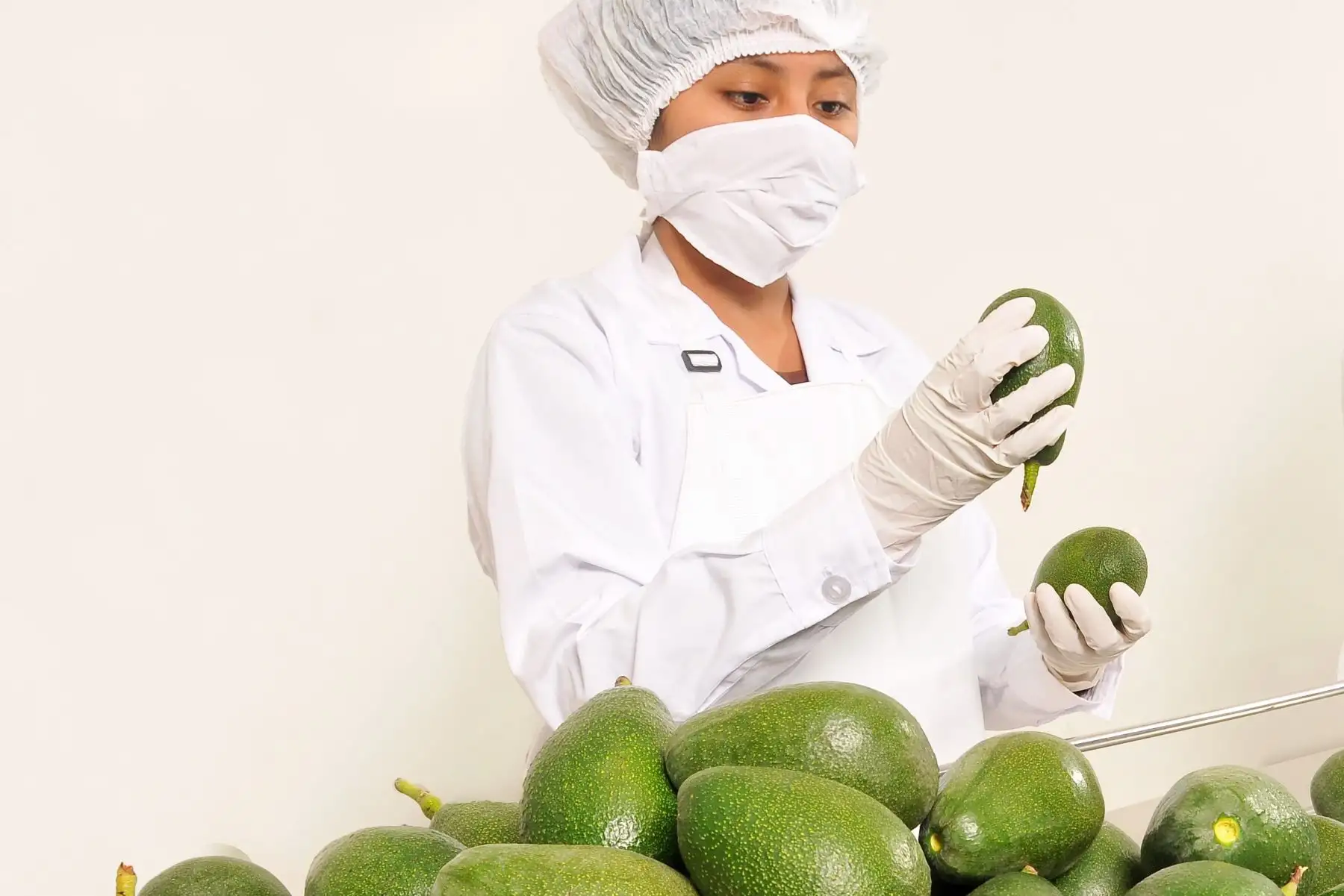 Innóvate Perú destinó más de S/ 62 millones para proyectos de innovación, desarrollo e investigación en macrorregión sur. ANDINA/Difusión