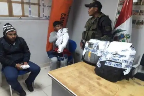 Un total de 21 kilos de alcaloide de cocaína fueron incautados tras la intervención de una unidad de transporte interprovincial que tenía como destino la ciudad de Juliaca y hay dos detenidos.  Esta acción la logró la Fiscalía Especializada en Tráfico Ilícito de Drogas de Puno.