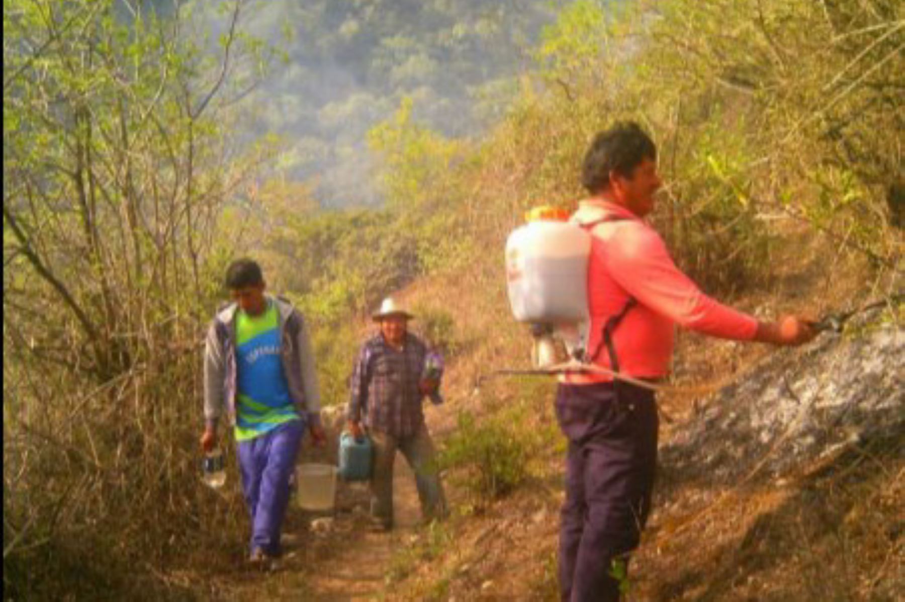 Bomberos, policías, personal municipal y pobladores.
luchan por controlar incendio forestal en Pichirhua, región Apurímac.