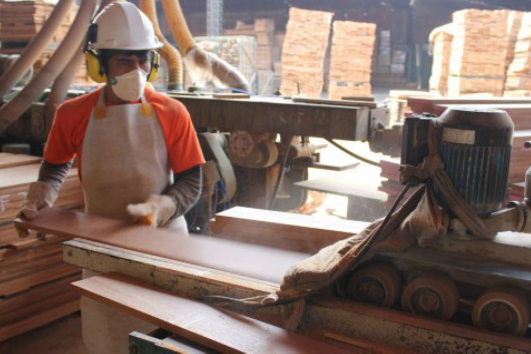 Mejoran productividad y condiciones laborales del sector maderero en Pucallpa, Ucayali.