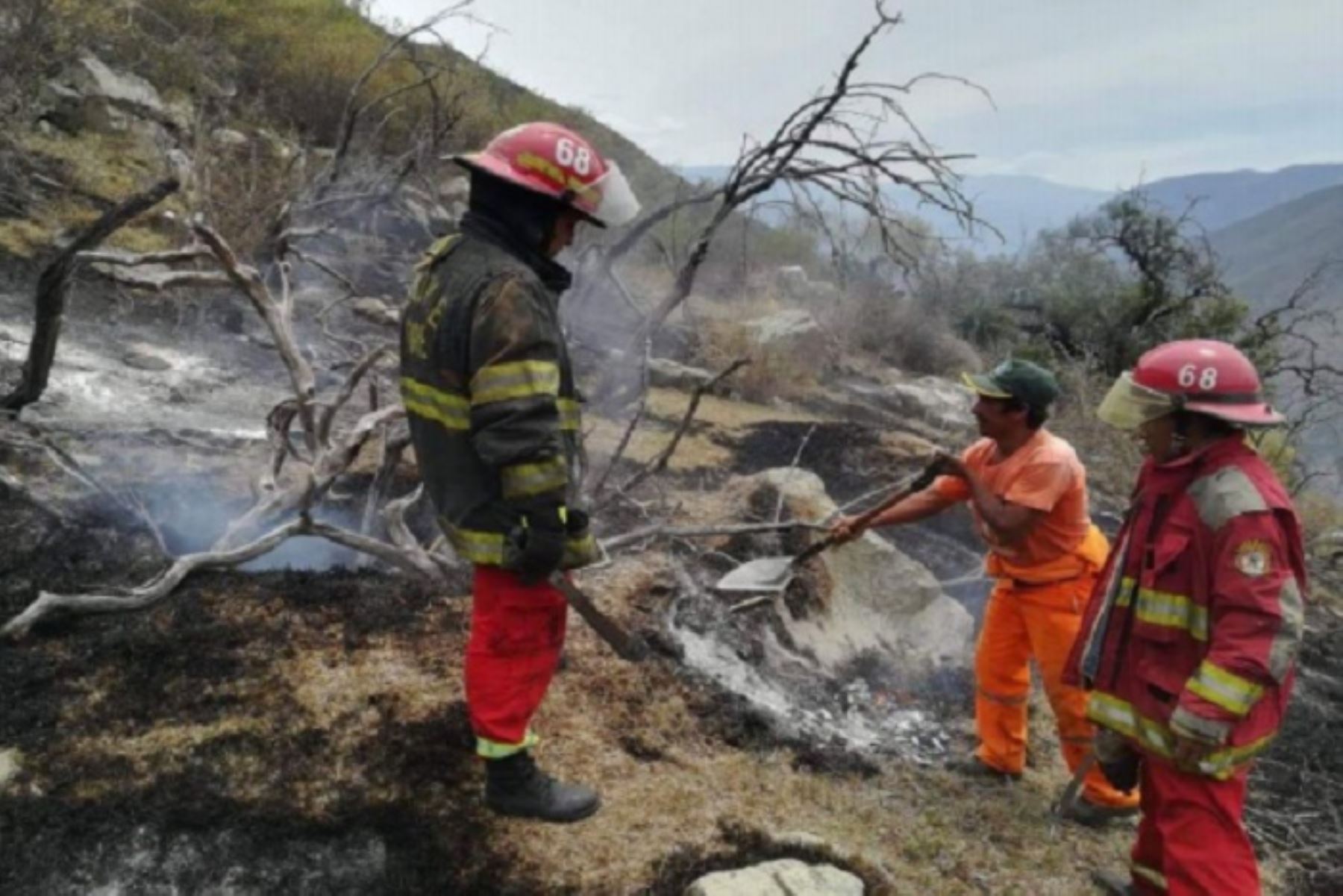 Los incendios forestales que se presentaron en los distritos de Tamburco y Lambrama (Apurímac), Totorani (Puno) e Incahuasi (Lambayeque) fueron extinguidos en su totalidad por los e bomberos, personal de los municipios locales y pobladores del lugar, informó el Instituto Nacional de Defensa Civil (Indeci).