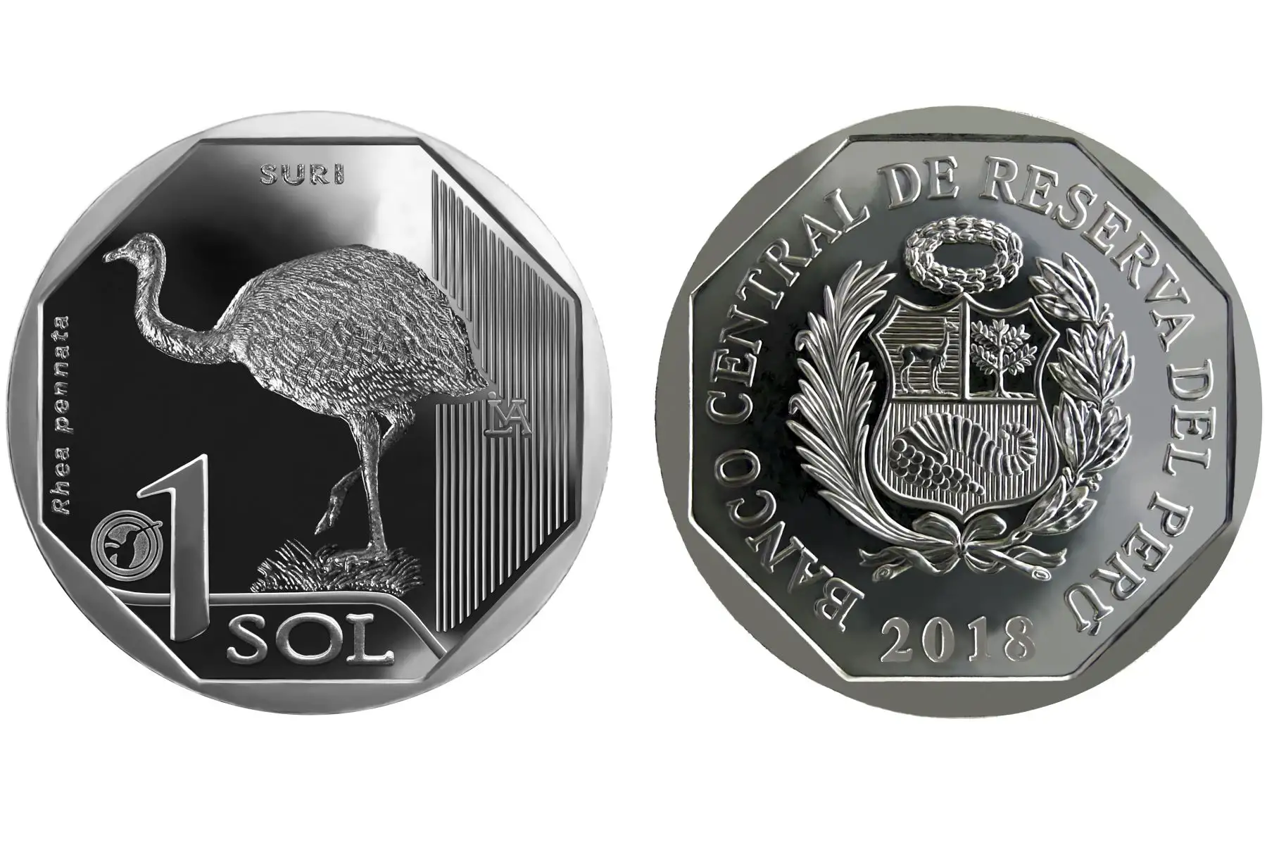 Nueva moneda de S/ 1 alusiva al Suri. ANDINA/Difusión