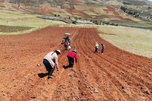 ANDINA/Difusión
