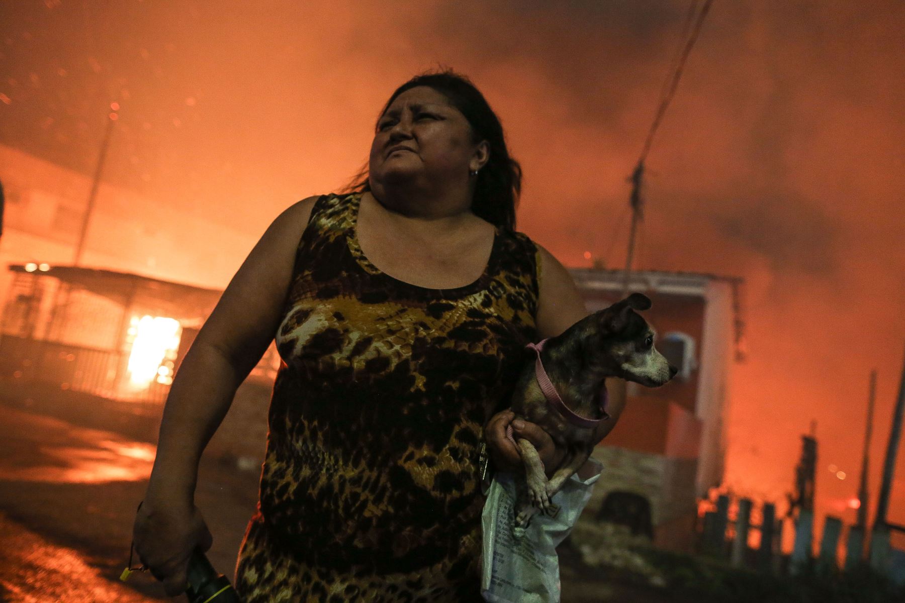 Una residente deja su casa con su perro, mientras un incendio masivo envuelve el vecindario de Educandos, en Manaus, estado de Amazonas, Brasil Foto: AFP
