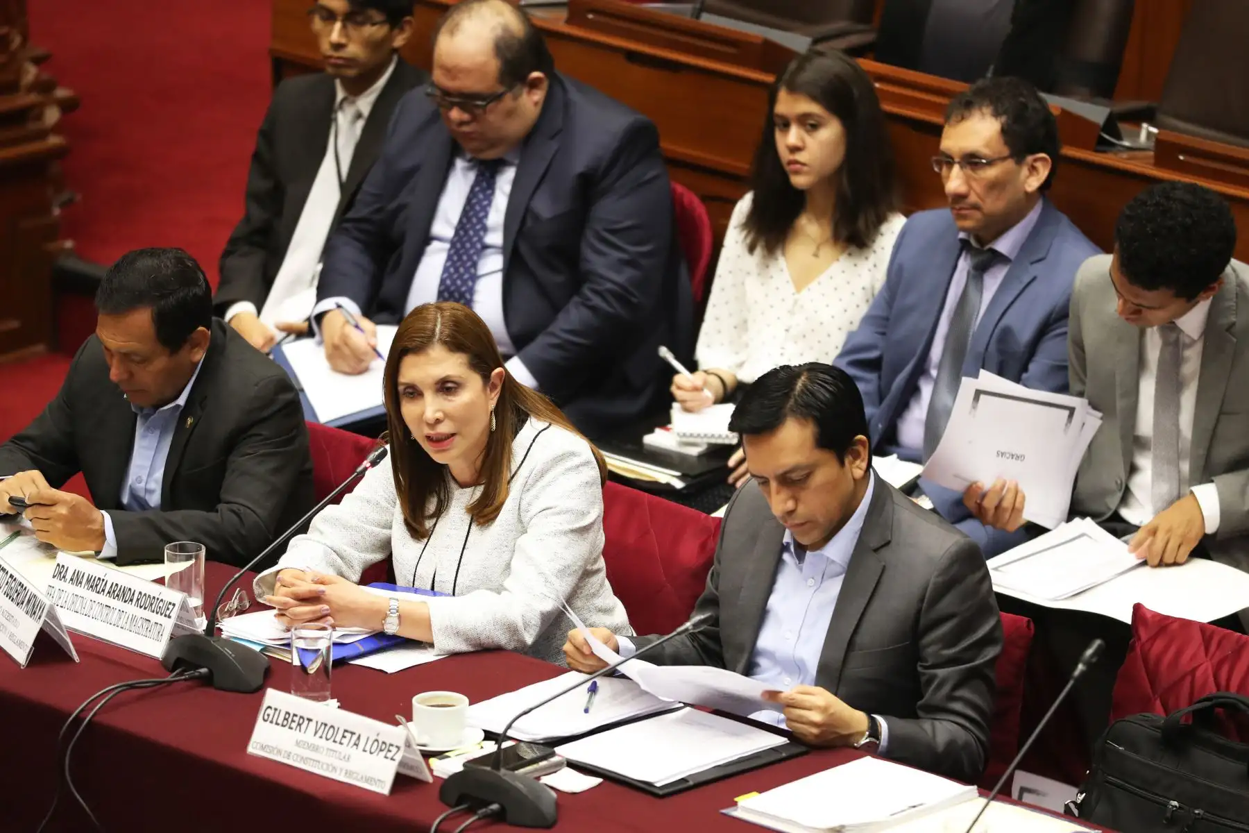 Jefa de la Ocma, Ana María Aranda durante su presentación en la comisión de constitución.  Foto: ANDINA/Melina Mejía