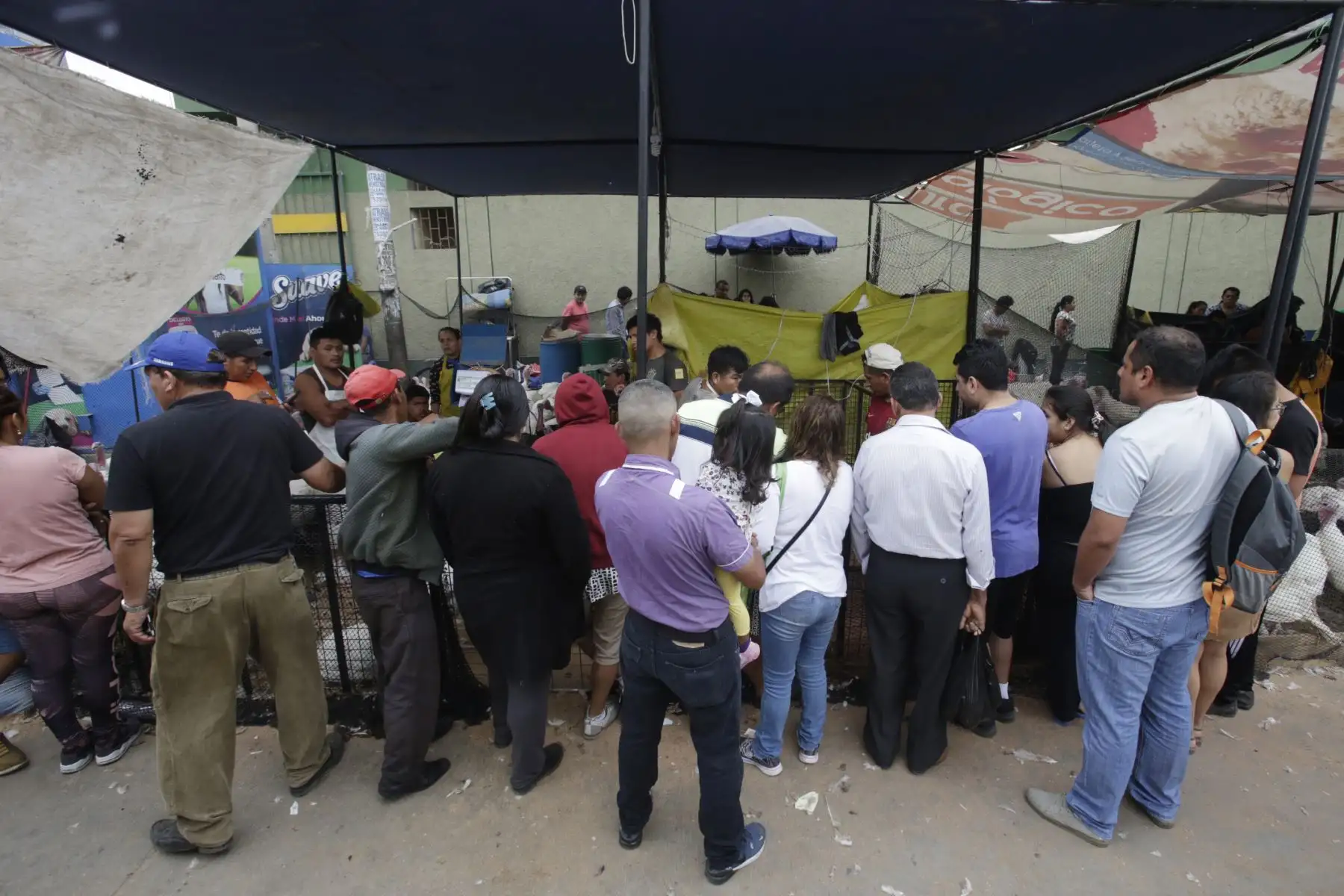 Peruanos realizan la compra del tradicional Pavo para la cena de navidad. Foto: ANDINA/Nathalie Sayago