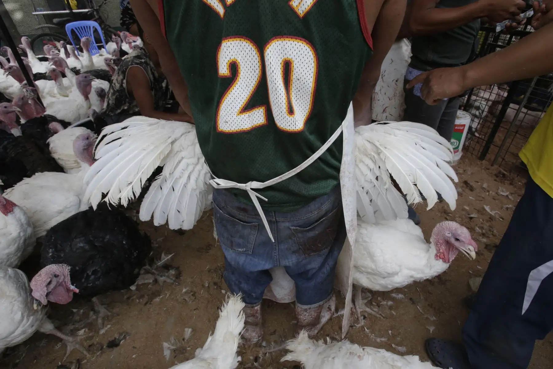 Peruanos realizan la compra del tradicional Pavo para la cena de navidad. Foto: ANDINA/Nathalie Sayago