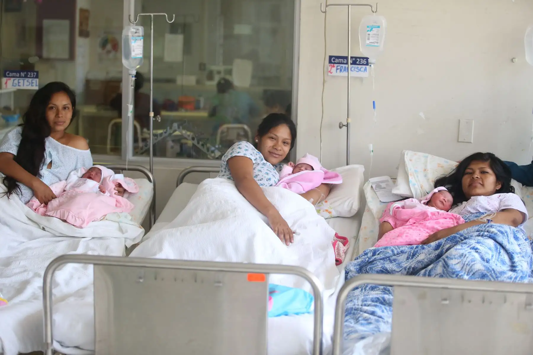 El Instituto Nacional Materno Perinatal, celebra con gran alegría el nacimiento de los primeros bebés de Navidad, primer bebé de la señora Getsel Mirian Silva Mallqui, segunda bebé Victoria Gael de la señora Francesca Dayana Huaman y la tercera  bebé Joselyn Ivana de la señora Mazombique Icomenavani. Foto: ANDINA/Vidal Tarqui