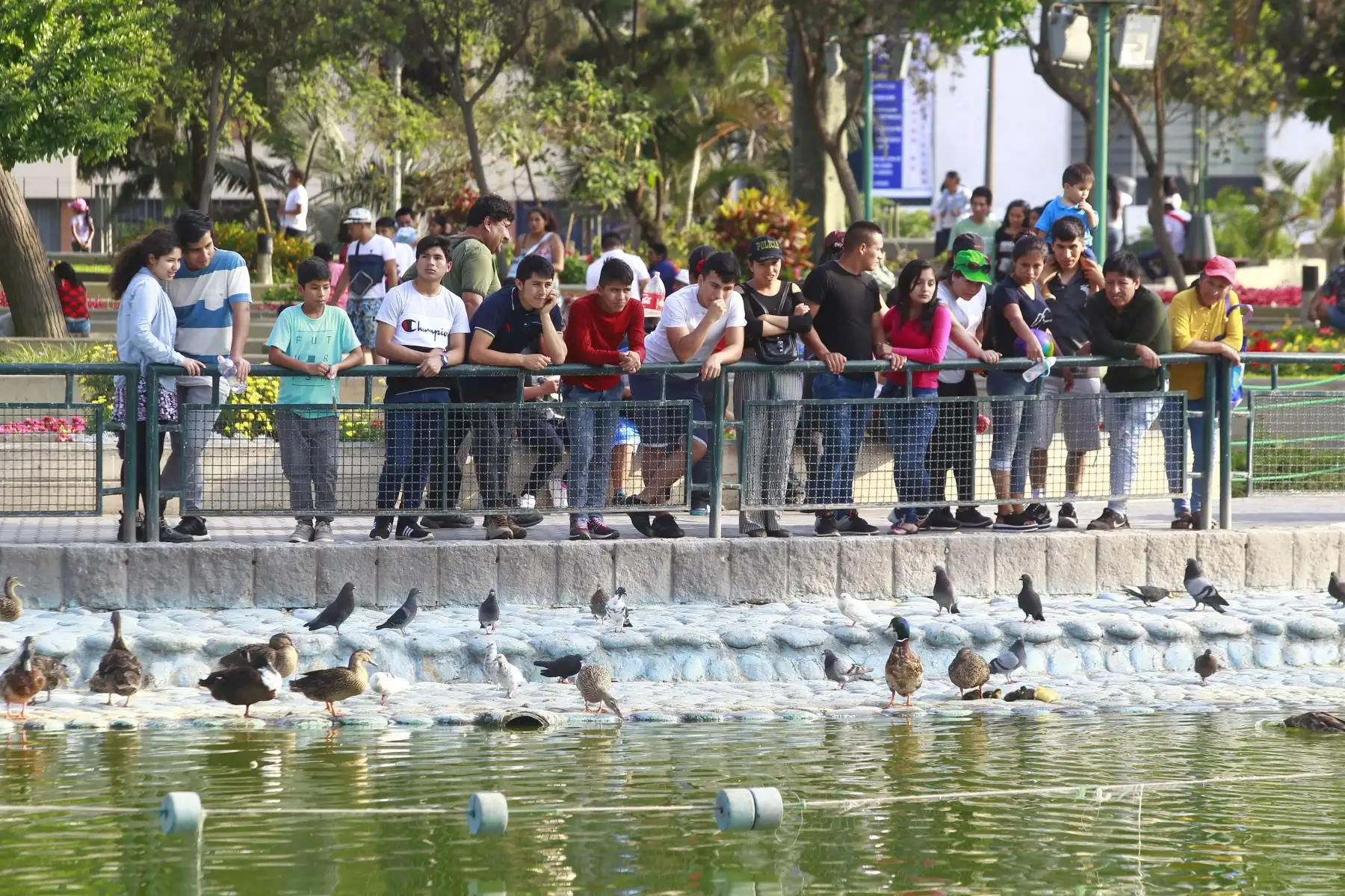 Familias peruanas aprovechan las fiestas navideñas para pasear y  divertirse en parques,plazas y espacios públicos. Foto ANDINA/Eddy Ramos