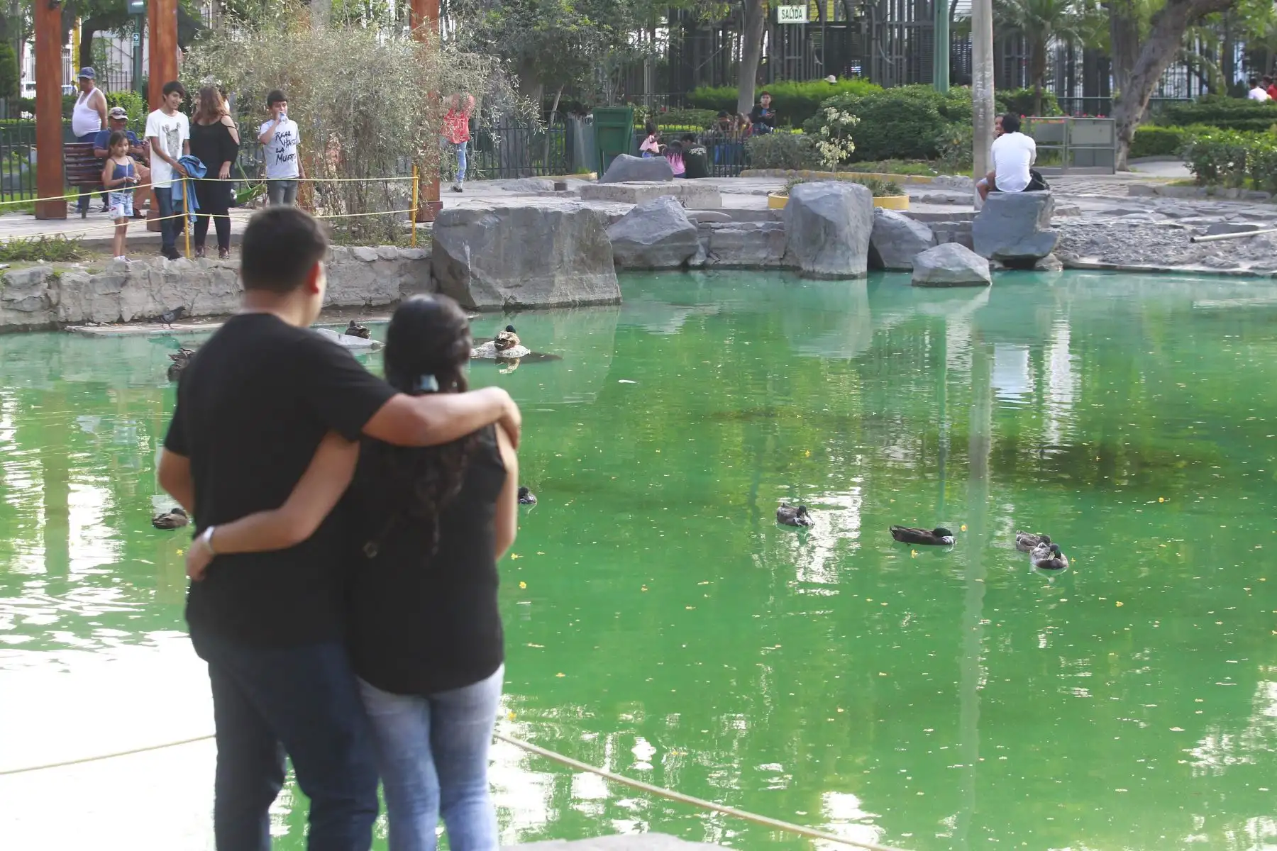 Familias peruanas aprovechan las fiestas navideñas para pasear y  divertirse en parques,plazas y espacios públicos. Foto ANDINA/Eddy Ramos