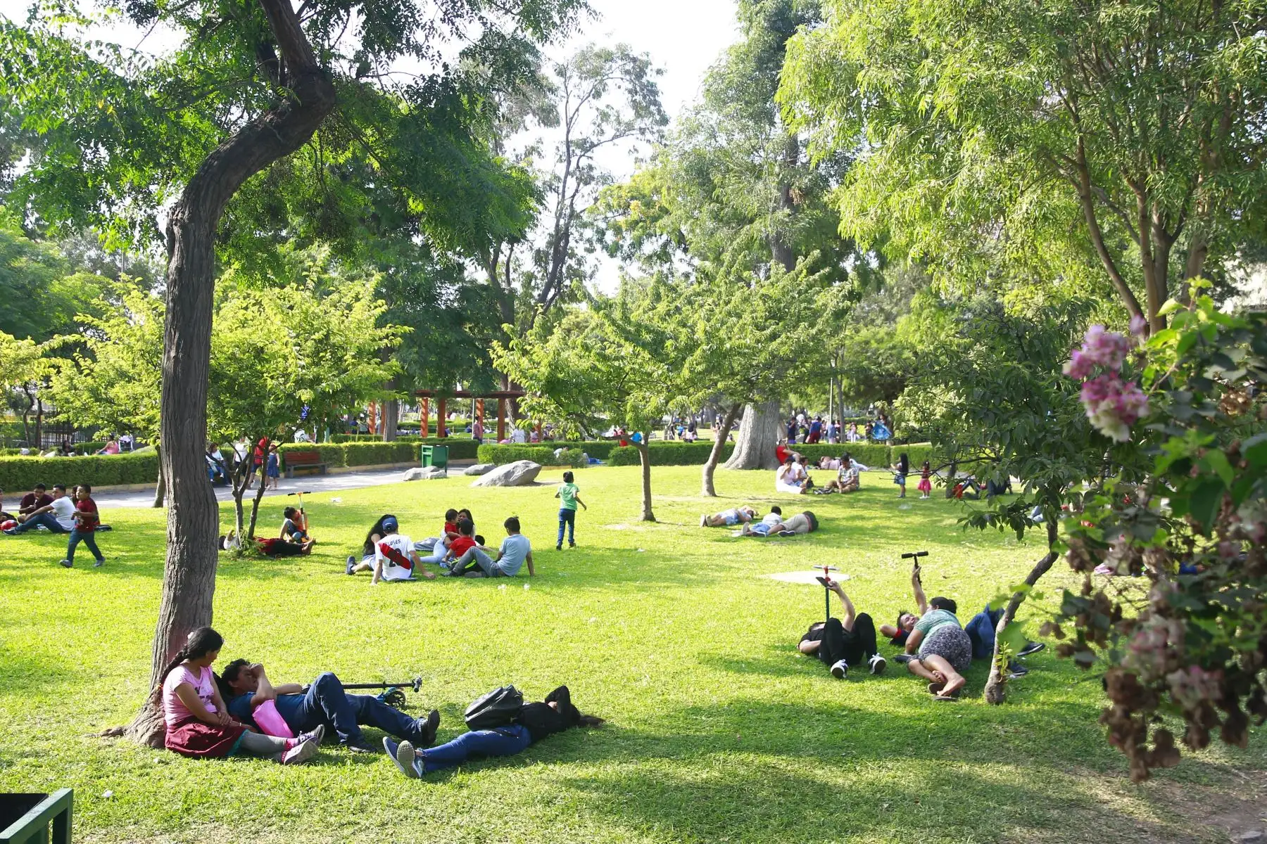 Familias peruanas aprovechan las fiestas navideñas para pasear y  divertirse en parques,plazas y espacios públicos. Foto ANDINA/Eddy Ramos