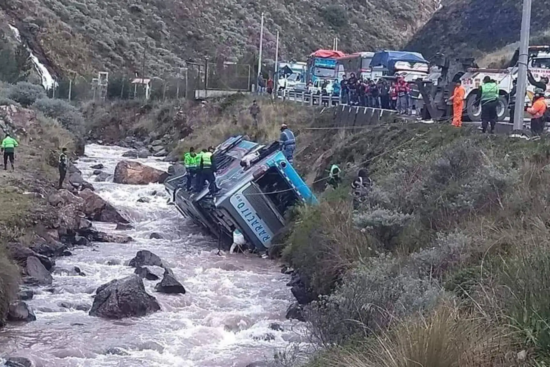 Cortesía