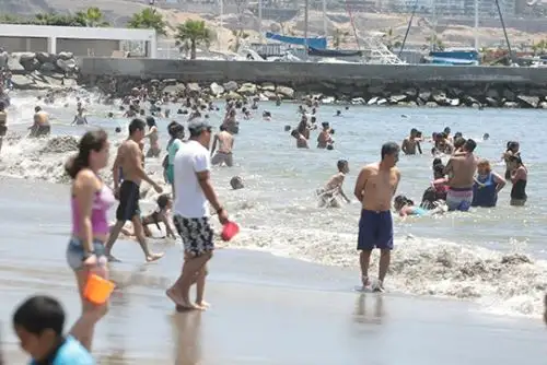 Foto: ANDINA/difusión.