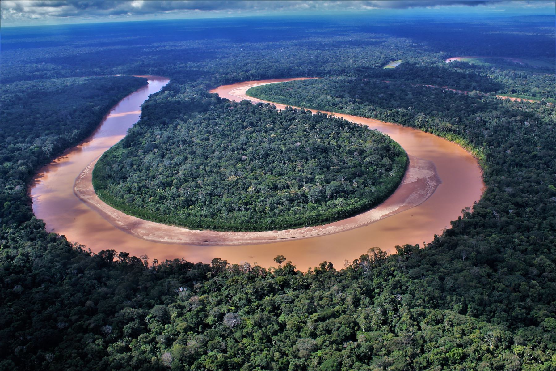 Conoce la importancia de la Amazonía en la iniciativa Patrimonio Natural del Perú. ANDINA/Difusión