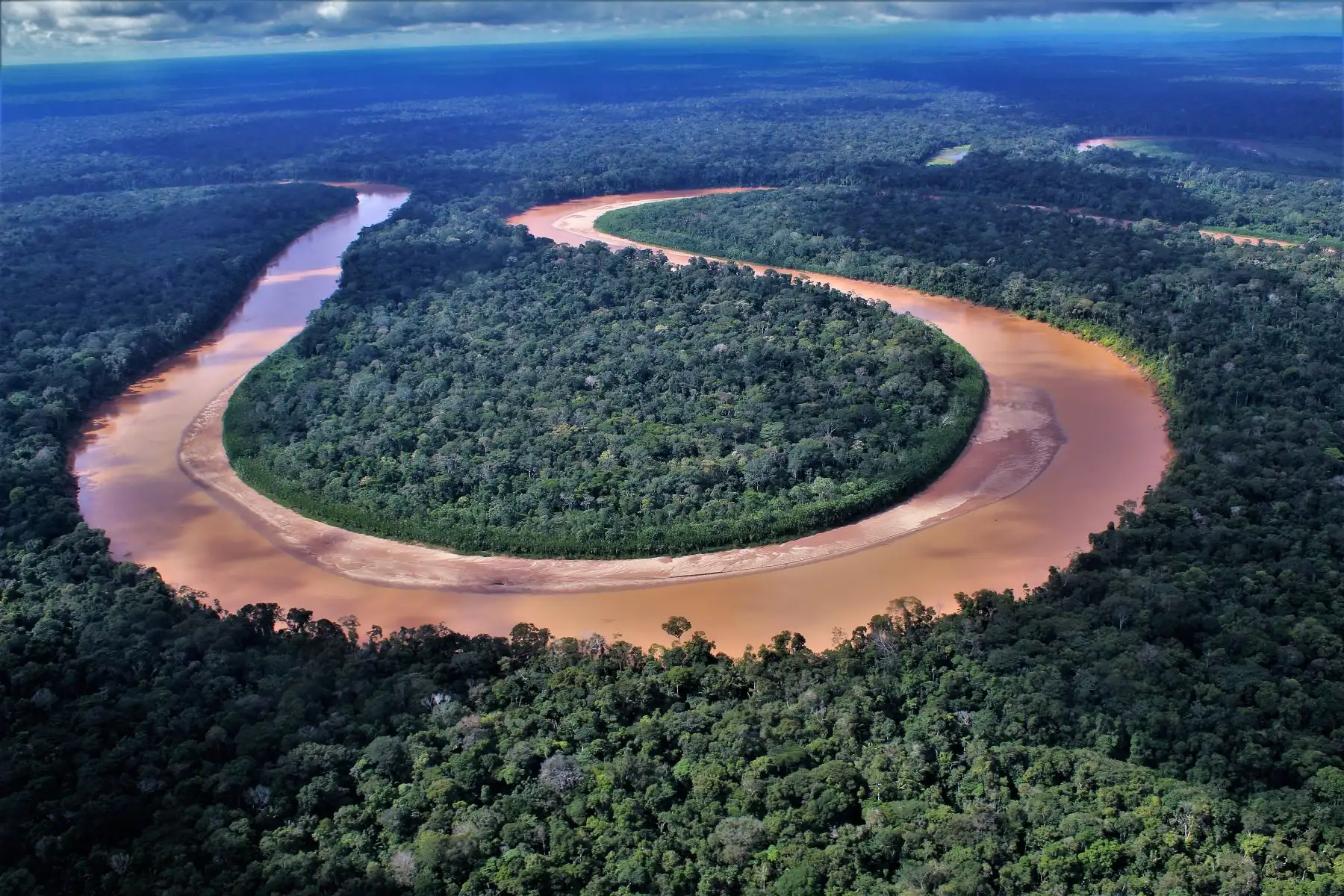 Amazonía. Foto: ANDINA/Difusión
