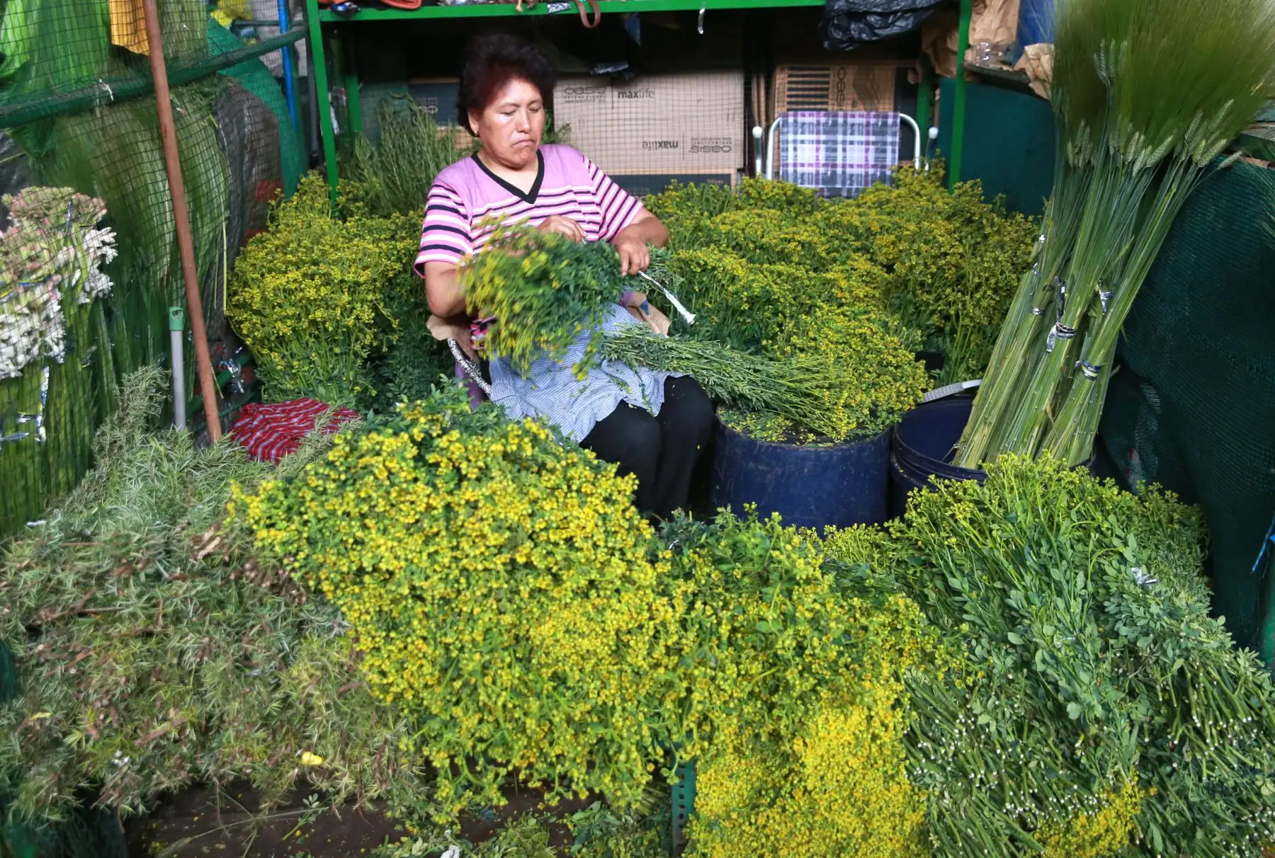 Flores amarillas, piñatas, frutas, amuletos y rituales para atraer la buena suerte se venden a pocas horas de las celebraciones del Año Nuevo 2019. Foto: ANDINA/Norman Córdova