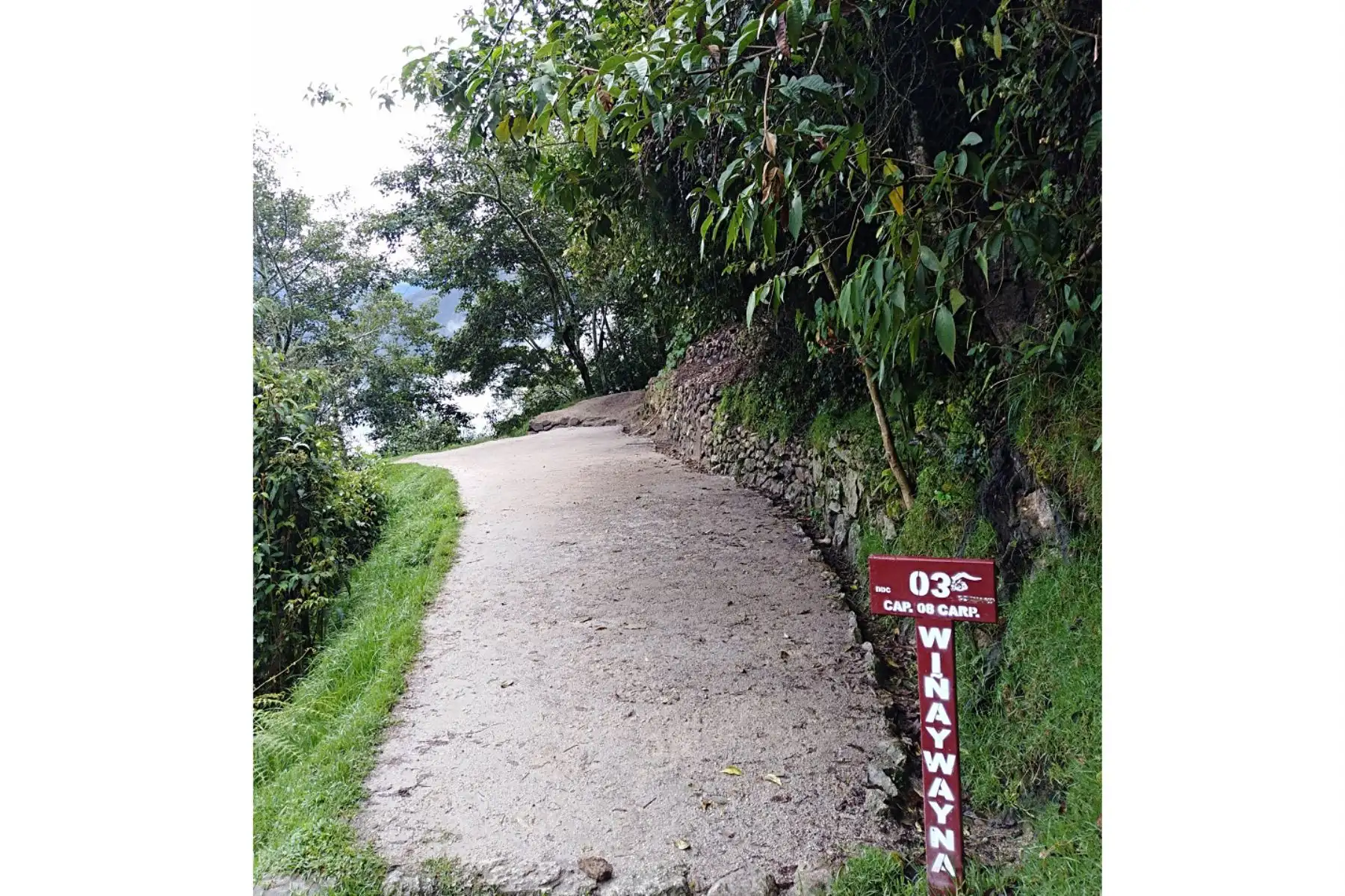 Suelo del campamento Nº 3 del sector de Wiñaywayna, ubicado en el Camino Inca hacia Machu Picchu, presenta grietas por lluvias torrenciales..Foto: ANDINA/DDC del Cusco