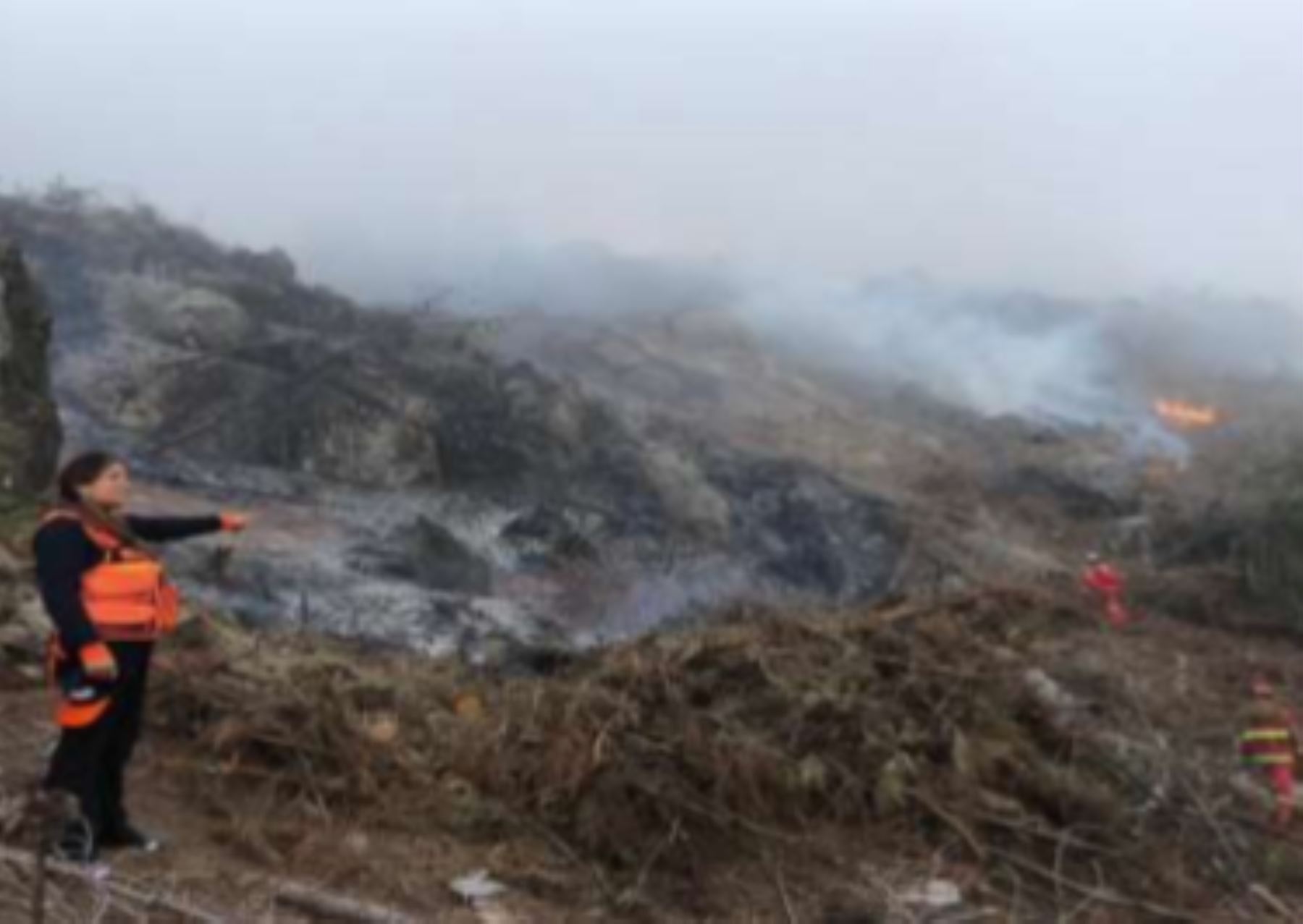Lluvias permitieron extinguir incendio forestal, que se inició el 31 de diciembre en el distrito de Encañada, región Cajamarca.