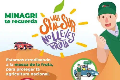 Rally Dakar 2019: Ministerio de Agricultura recomienda no llevar frutas a regiones del sur para evitar la mosca de la fruta.