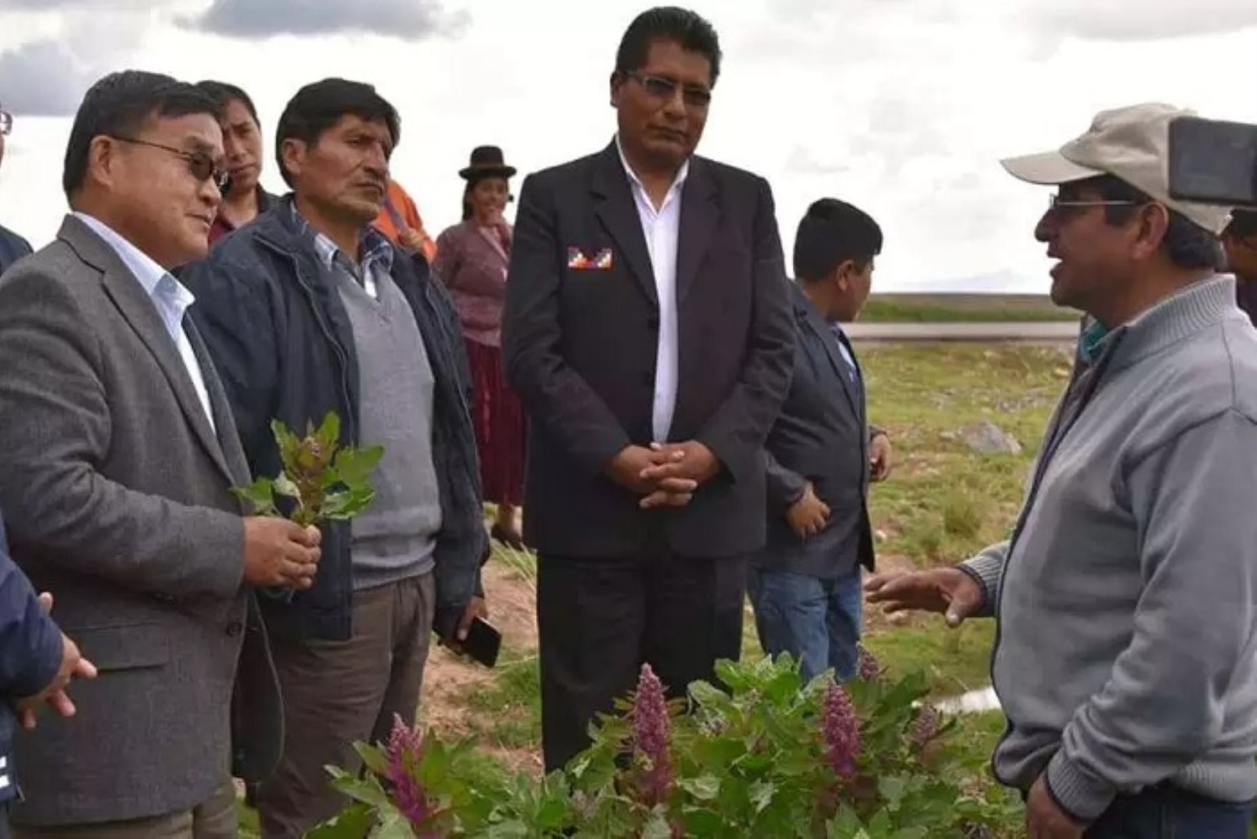 El ingreso de la quinua de Puno a los mercados de China está por concretarse y con ese motivo el embajador de la República Popular China en el Perú, Jia Guide, se encuentra de visita en la región del Altiplano.