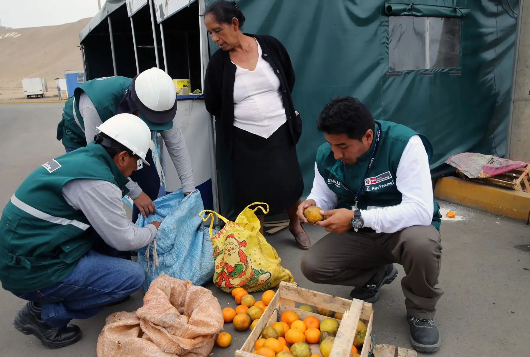 El ministro de Agricultura y Riego, Gustavo Mostajo, señaló  que en el presente año se espera consolidar la erradicación de la Mosca de la Fruta en las zonas productoras del sur Foto: ANDINA/Norman Córdova