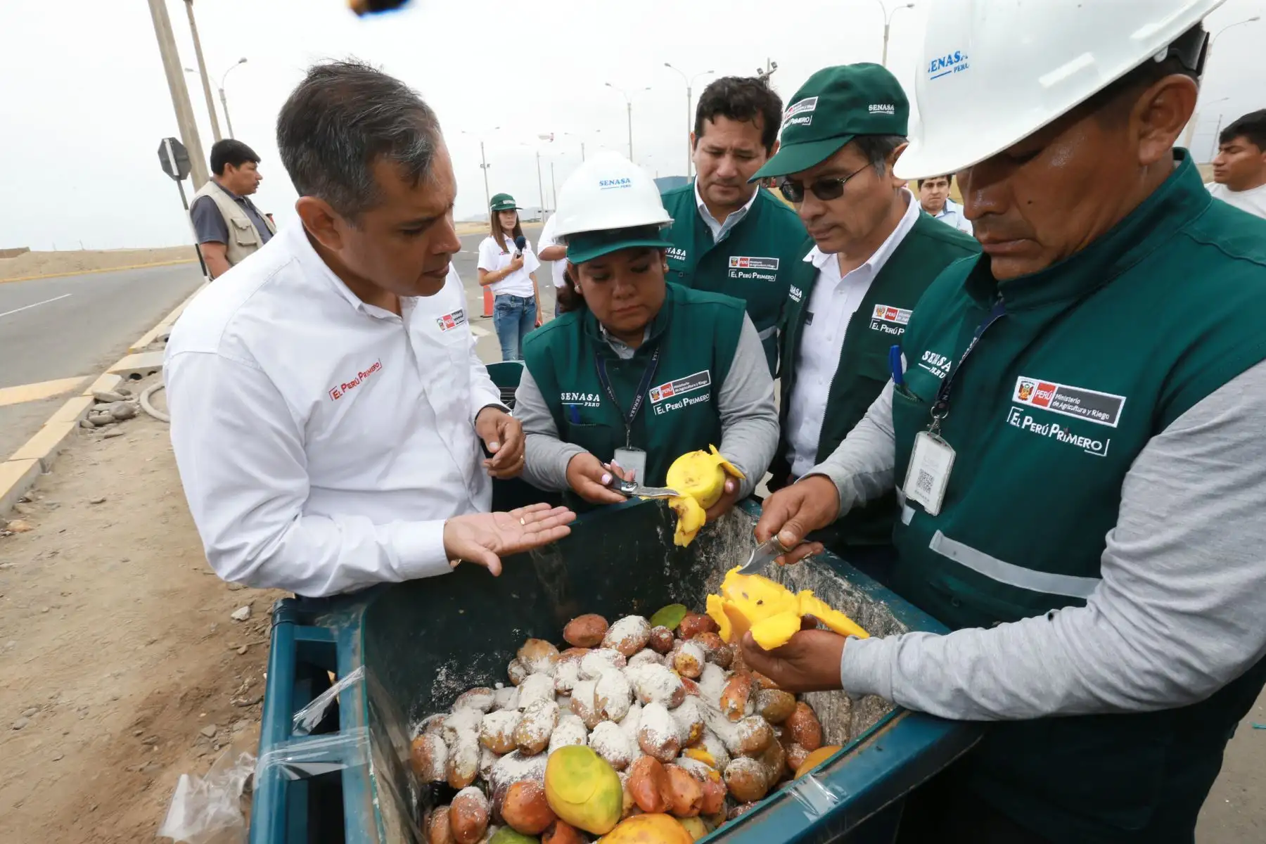 El ministro de Agricultura y Riego, Gustavo Mostajo, señaló  que en el presente año se espera consolidar la erradicación de la Mosca de la Fruta en las zonas productoras del sur Foto: ANDINA/Norman Córdova