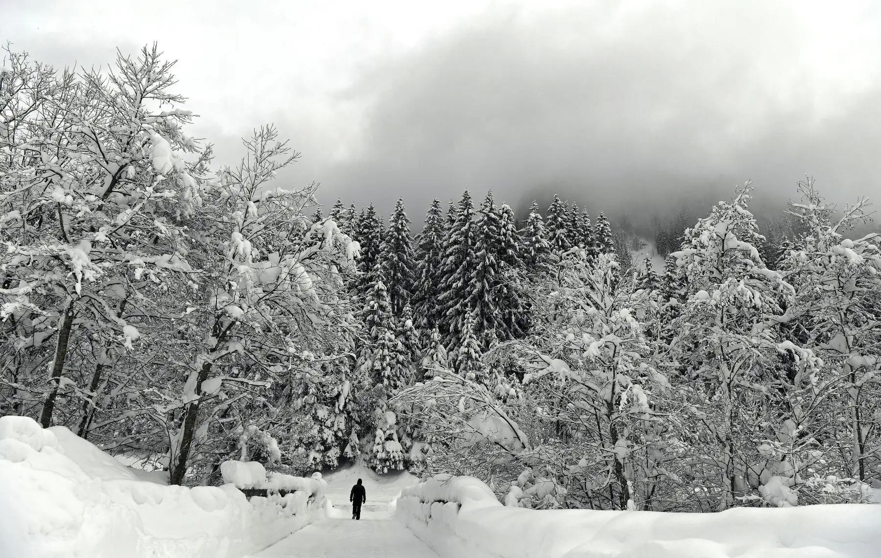 Un hombre solitario camina en un paisaje cubierto de nieve  cerca de Obertauern, Austria, donde cayeron enormes cantidades de nieve durante el inicio del mont. AFP