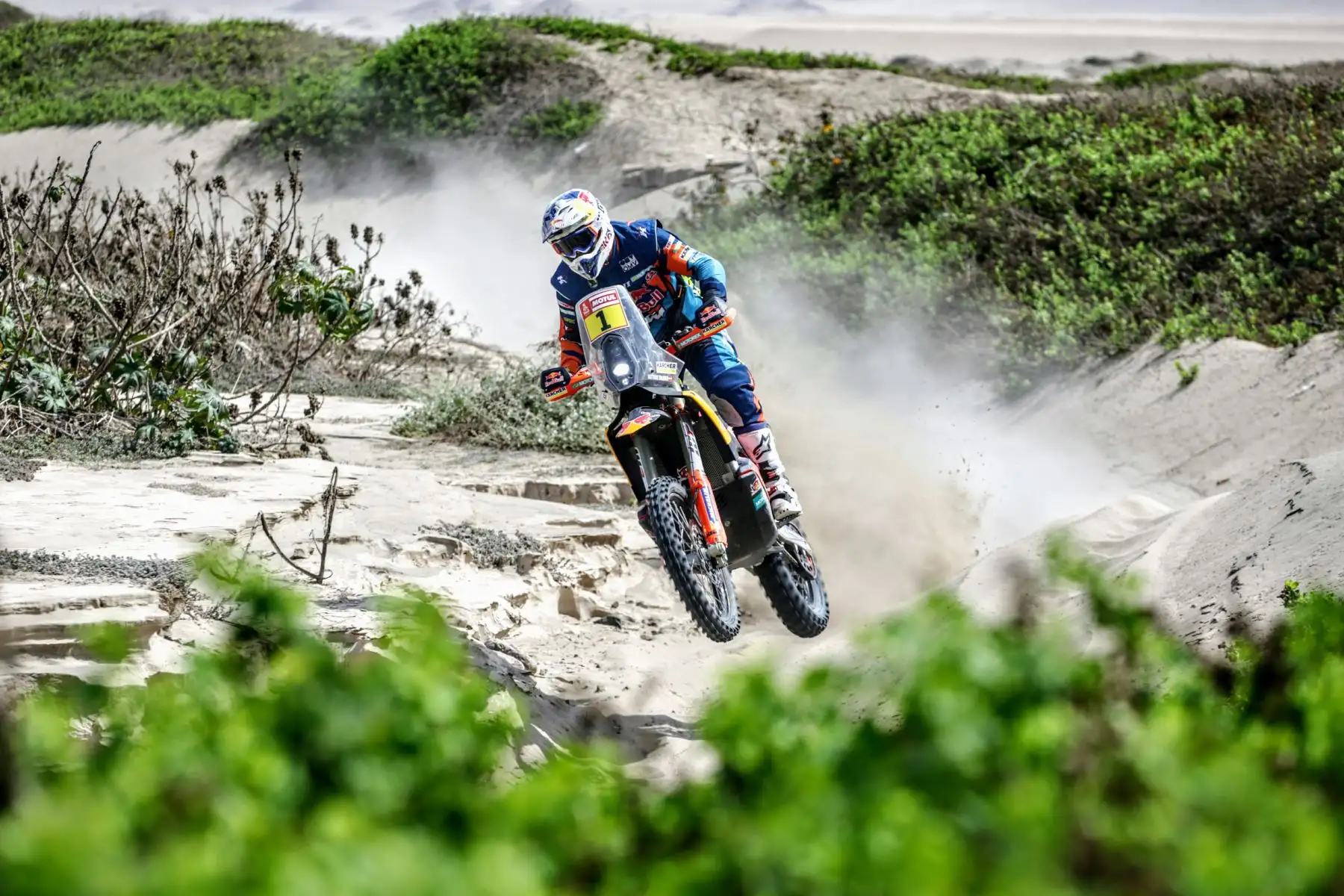 Rally Dakar 2019 tramo San Juan de Marcona - Arequipa. Foto: ANDINA/Luis Iparraguirre
