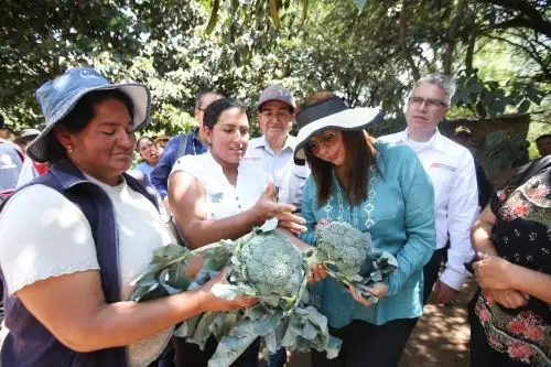 Producción de hortalizas mejora la economía familiar en región Ayacucho. ANDINA/Difusión