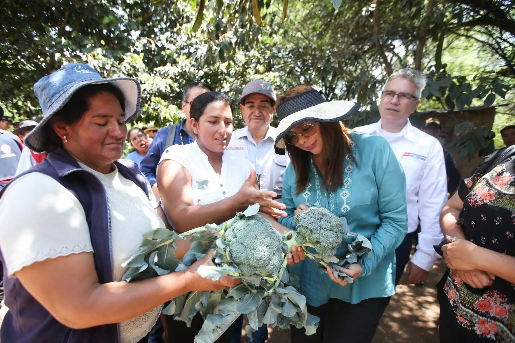 Producción de hortalizas mejora la economía familiar en región Ayacucho. ANDINA/Difusión