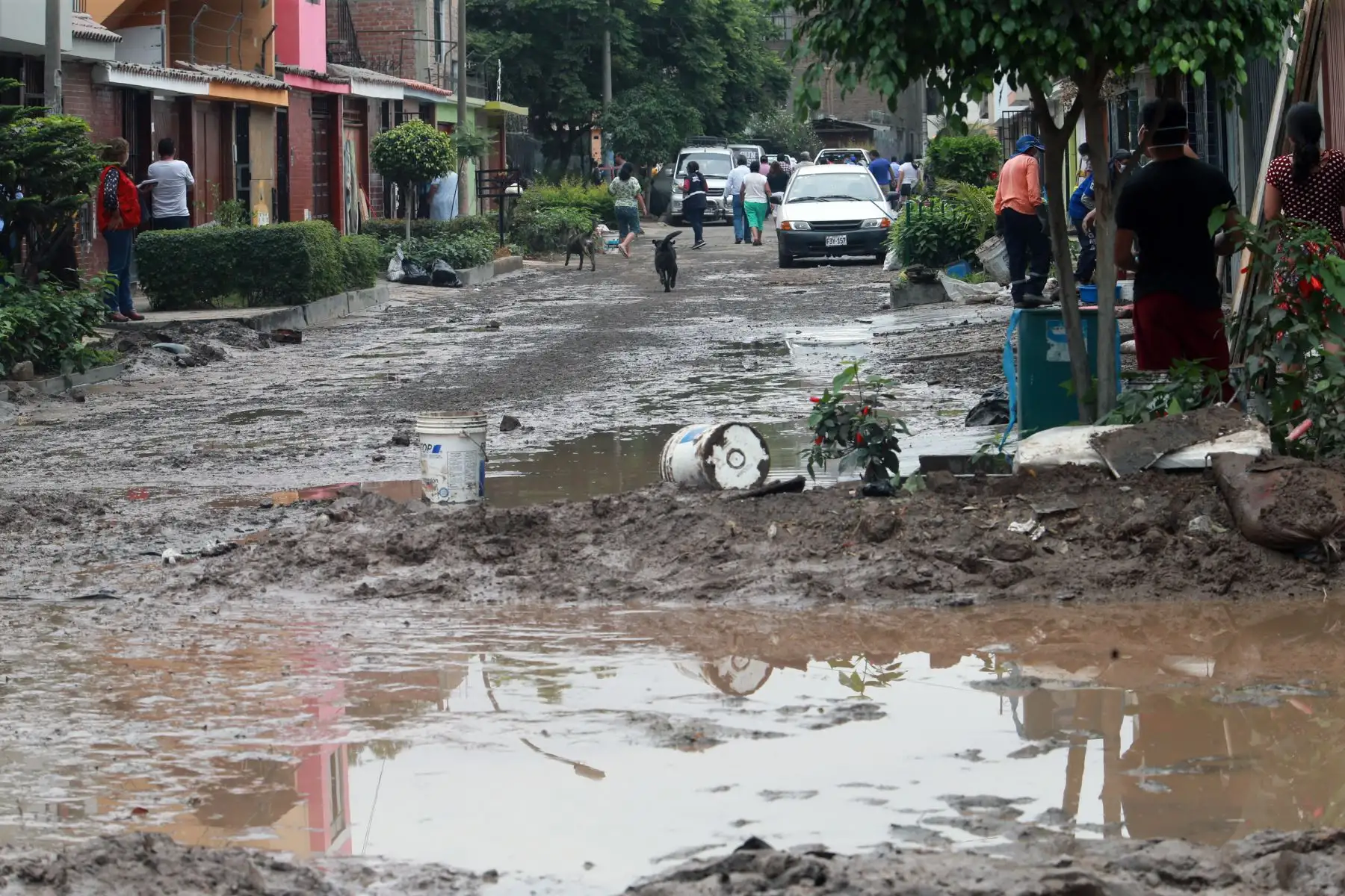 En la Calle Los Tusílagos se concentra labores de evacuación de aguas servidas en SJL. Foto: ANDINA/Norman Córdova