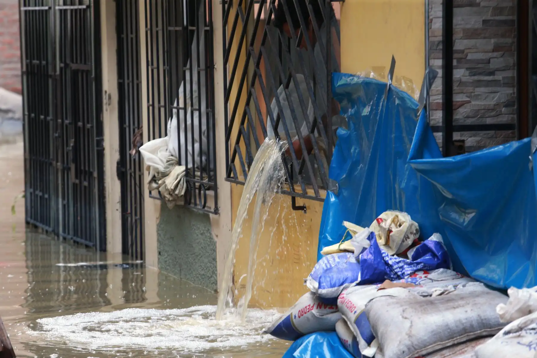 En la Calle Los Tusílagos se concentra labores de evacuación de aguas servidas en SJL. Foto: ANDINA/Norman Córdova