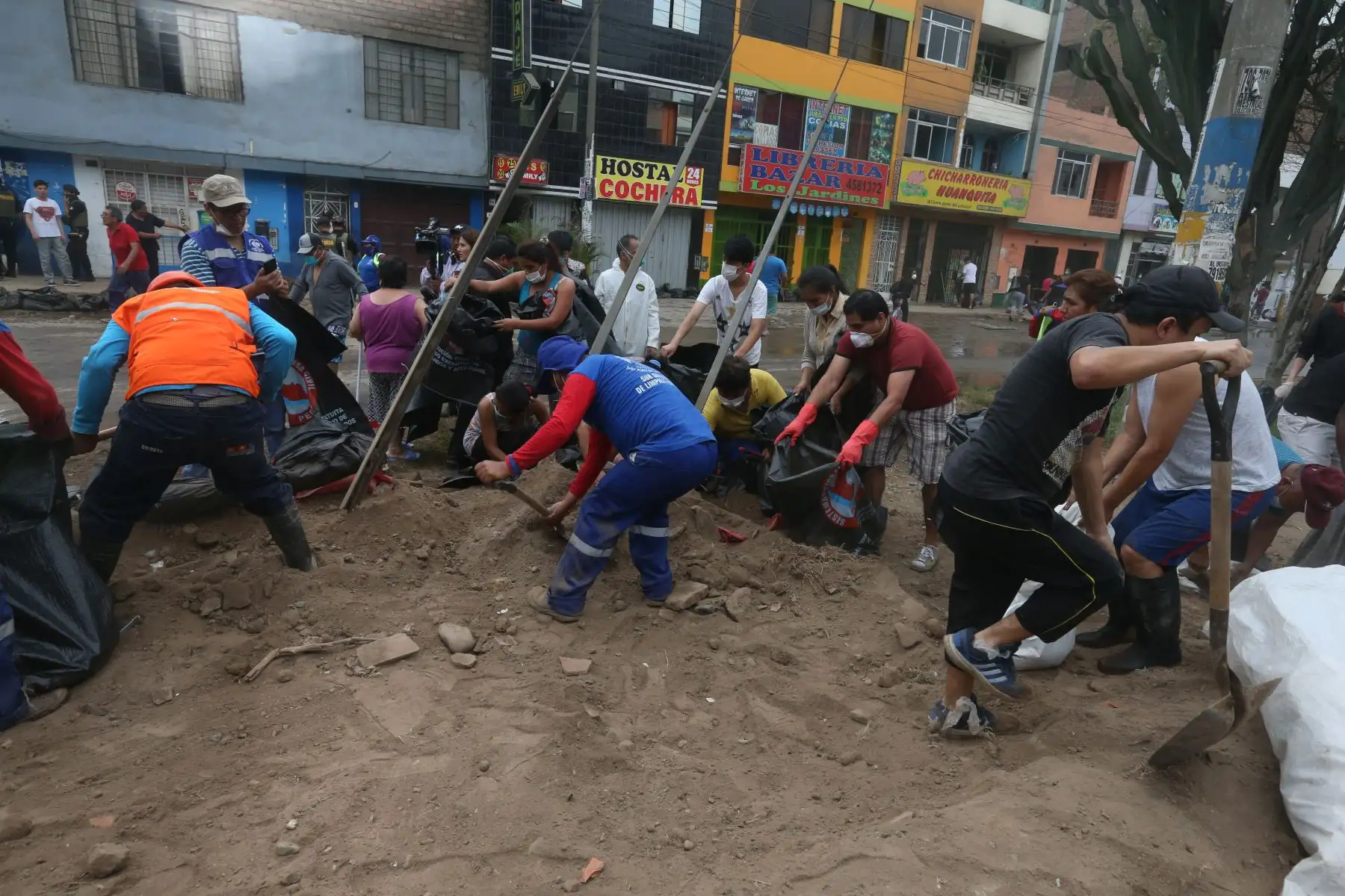 Foto: ANDINA/Vidal Tarqui.