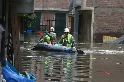 Foto: ANDINA/Vidal Tarqui.