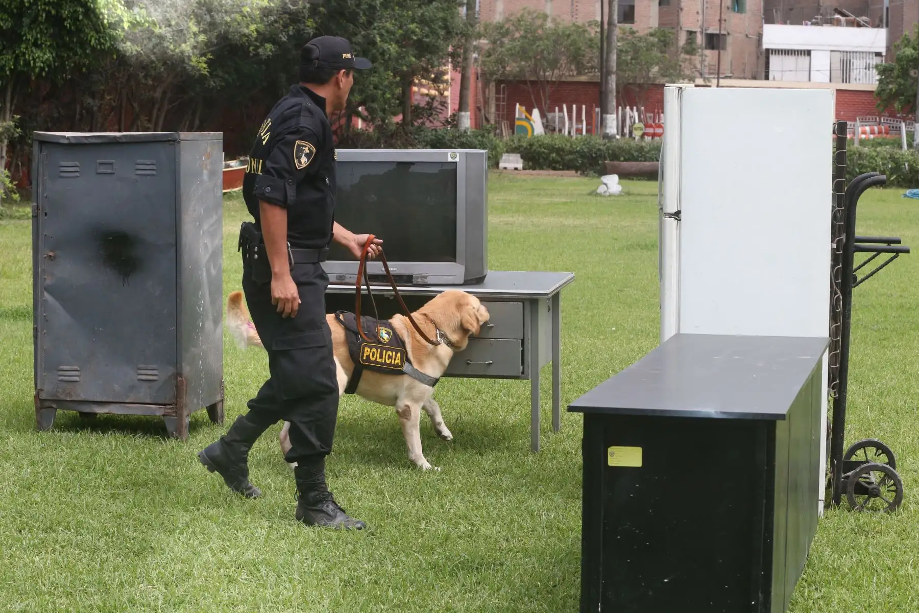 Entrenamiento de Perros en la unidad de Policía Canina.Foto: ANDINA/Vidal Tarqui