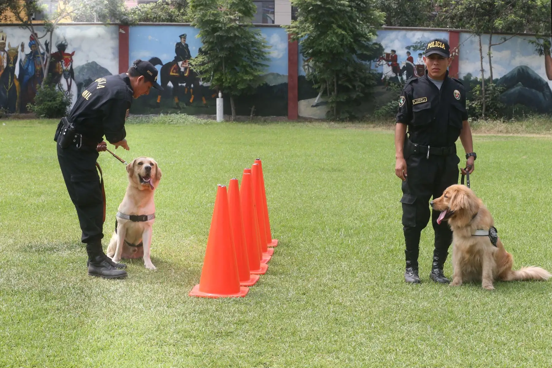 Entrenamiento de Perros en la unidad de Policía Canina.Foto: ANDINA/Vidal Tarqui
