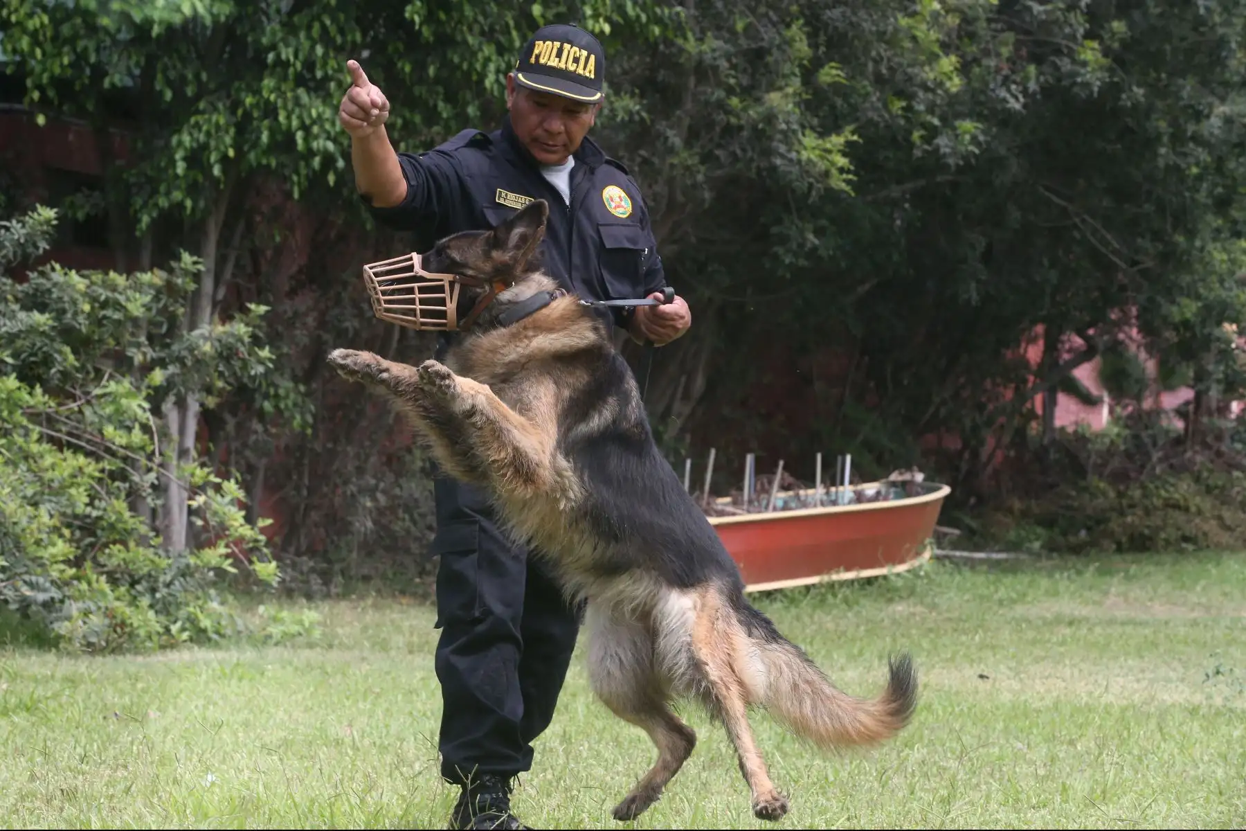 Entrenamiento de Perros en la unidad de Policía Canina.Foto: ANDINA/Vidal Tarqui