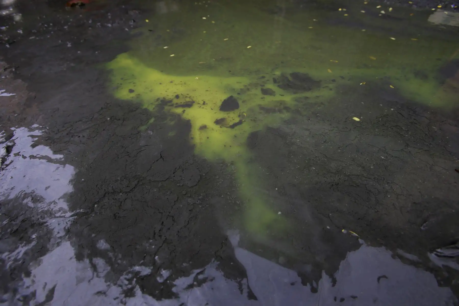 Estado de infección en el que se encuentra el agua en que afectó a los vecinos de San Juan de Lurigancho. Foto: ANDINA/Nathalie Sayago