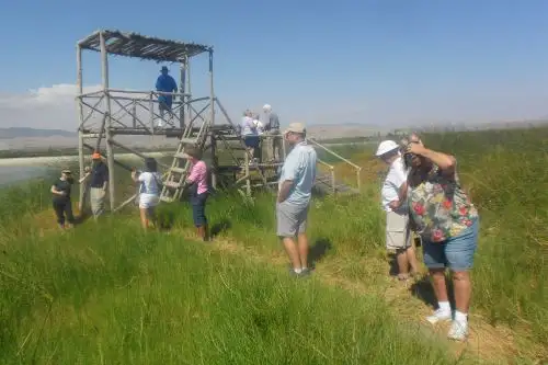 Santuario Nacional Lagunas de Mejía es el destino de moda en la región Arequipa. ANDINA