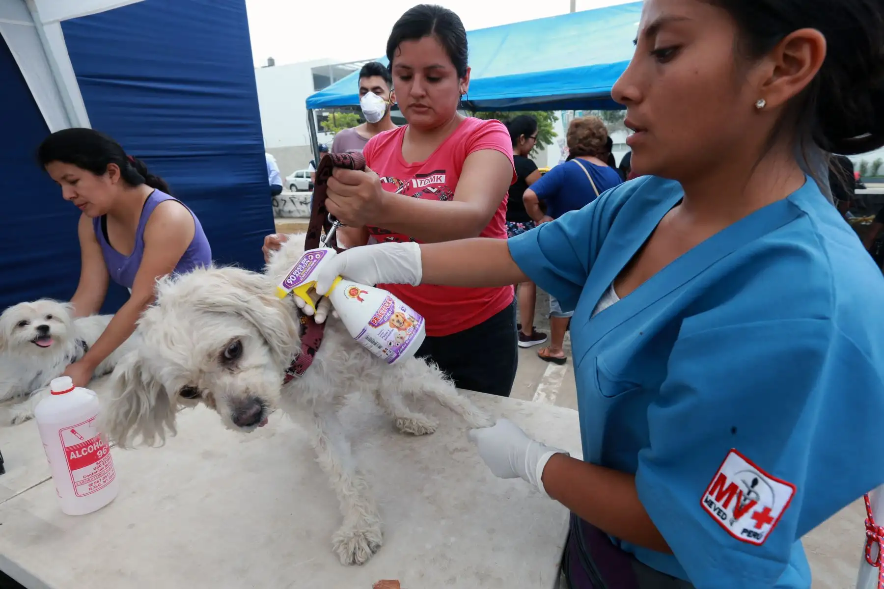 Continuan las labores de limpieza en la zona afectada por el aniego en San Juan de Lurigancho. Foto: ANDINA/Norman Córdova