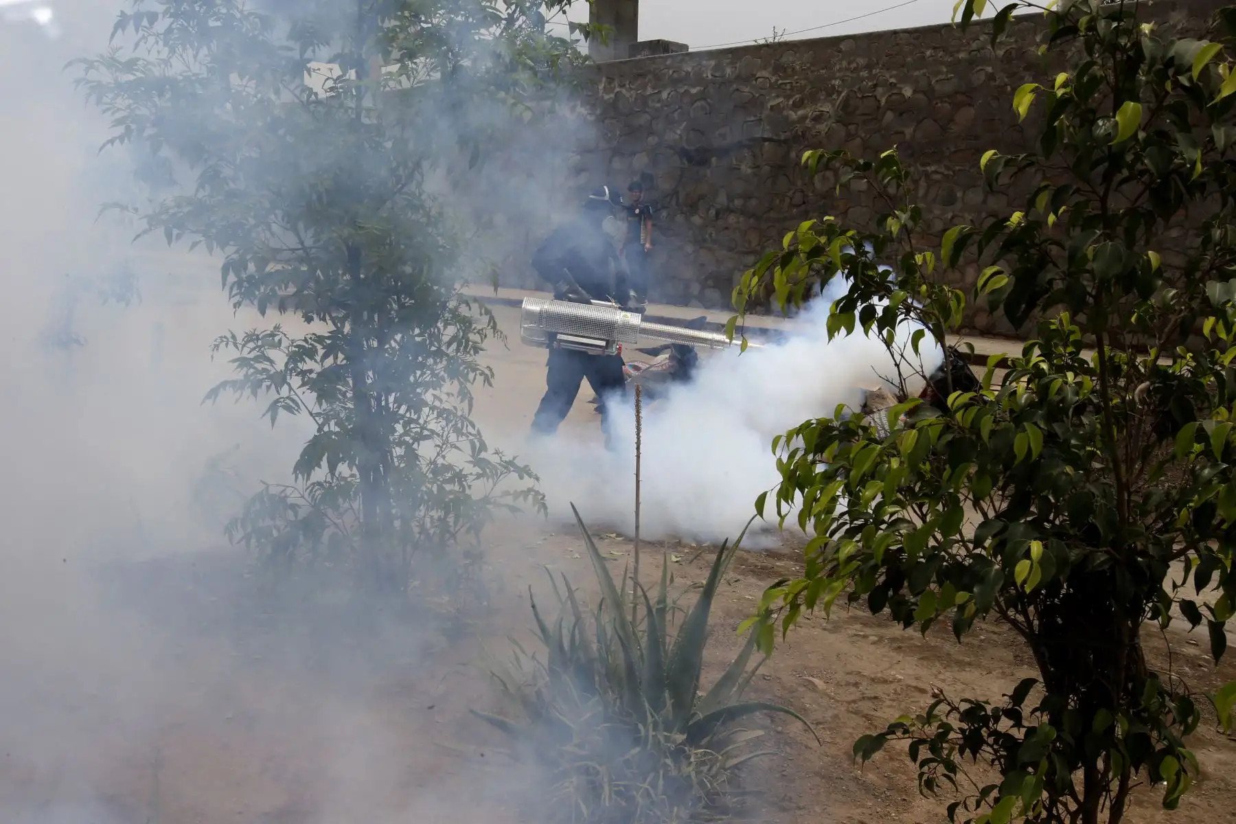 Jornada de fumigación a cargo de la DIGESA en las zonas afectadas por el aniego en San Juan de Lurigancho. Foto: ANDINA/Nathalie Sayago